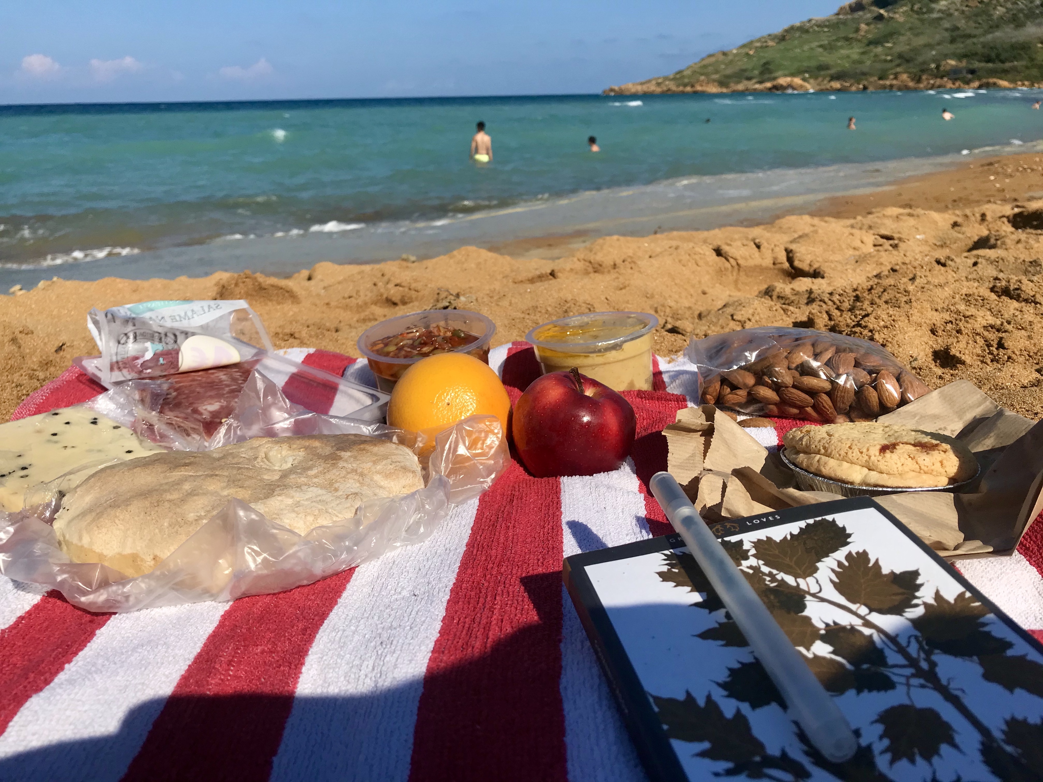 Lessons Learned in Malta Peacock Plume